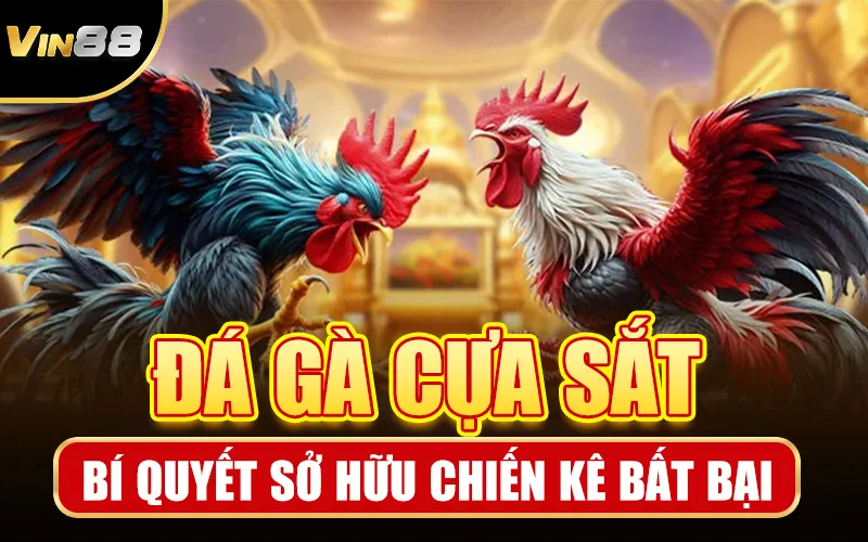 Bí quyết đá gà cựa dao