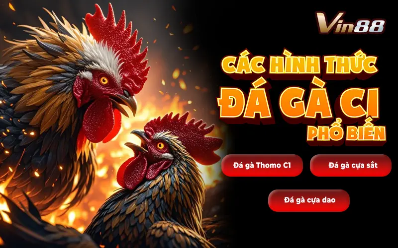 Các hình thức đá gà c1