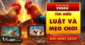 đá gà cựa dao