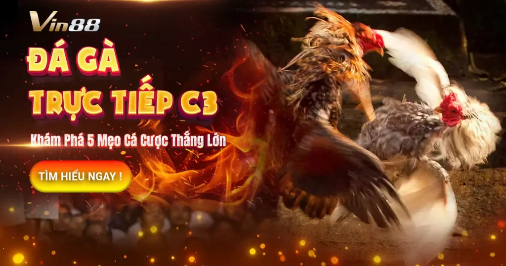đá gà trực tiếp c3
