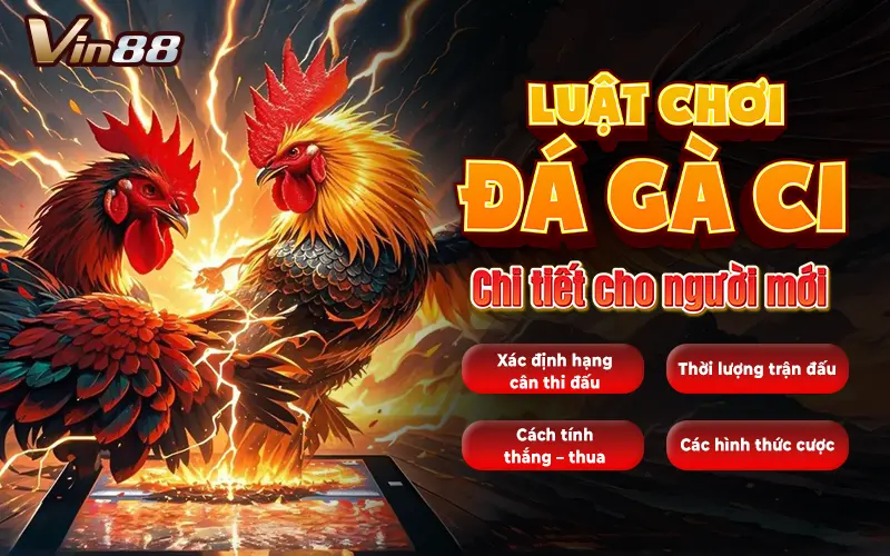 Luật chơi đá gà c1