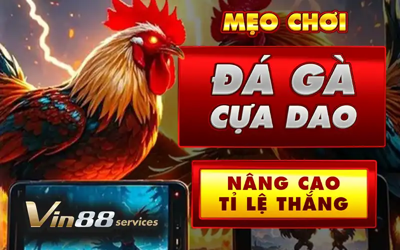 Các mẹo chơi đá gà cựa dao