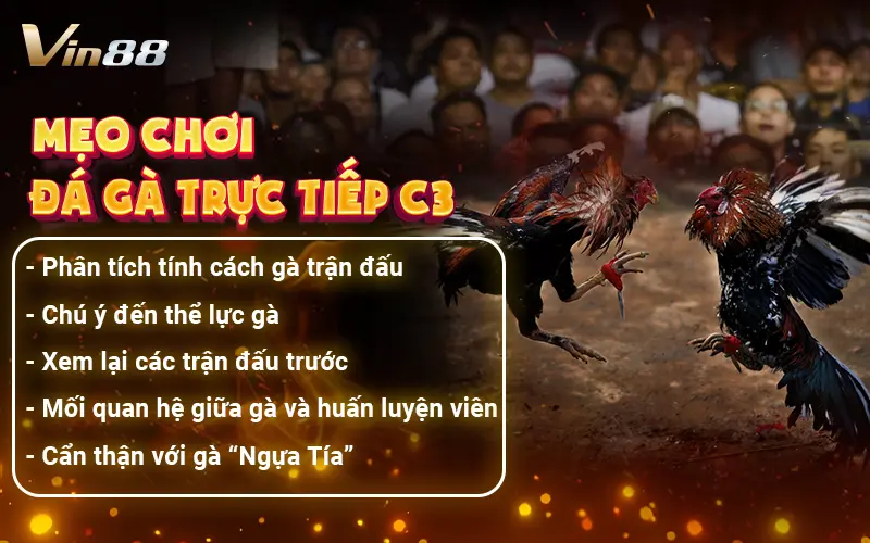 Mẹo chơi đá gà trực tiếp c3